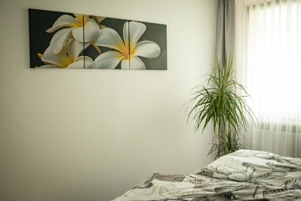 Ferienwohnung Am Schlosspark Ebersdorf  Екстер'єр фото